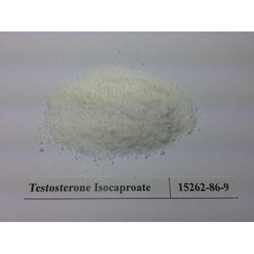 Testosterone Isocaproate raw powder
