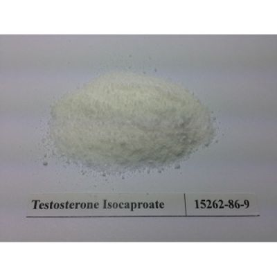 Testosterone Isocaproate raw powder